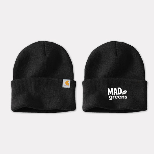 Carhartt Watch Cap 2.0